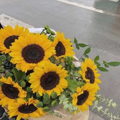 银河棋牌下载手机版