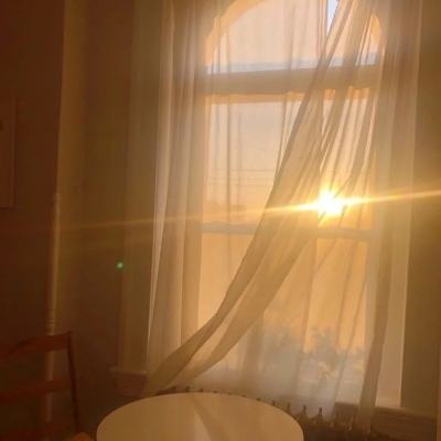 pc蛋蛋官方网站