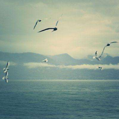 yaboapp手机官网截图