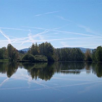 体育皇冠官网下载app