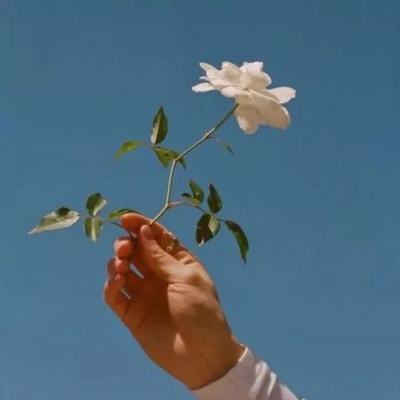 熊猫娱乐appapp下载