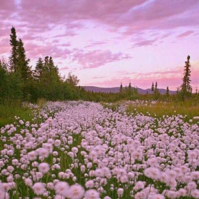 b体育官方下载入口