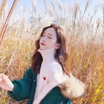 电子娱乐平台游戏大全